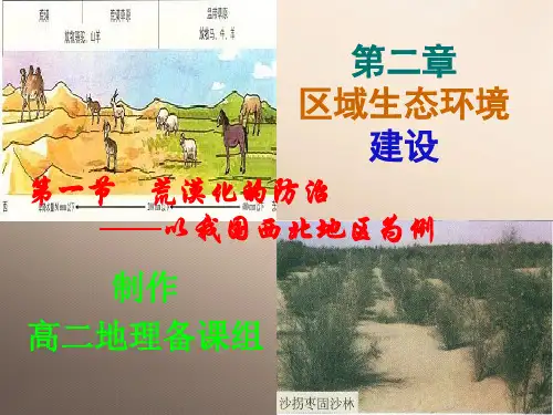 2.1 荒漠化的人为原因优品课件