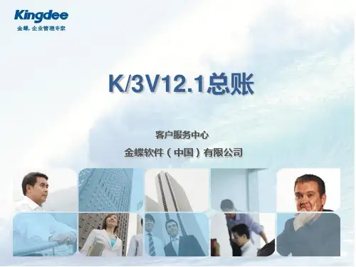 kingdee金蝶v12.1总账系统