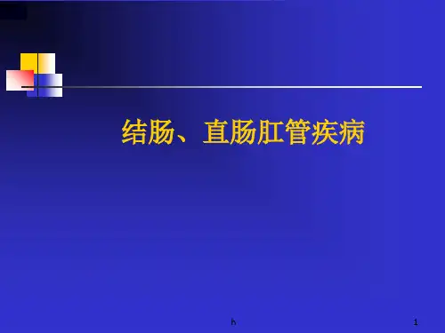 结肠、直肠肛管疾病PPT课件