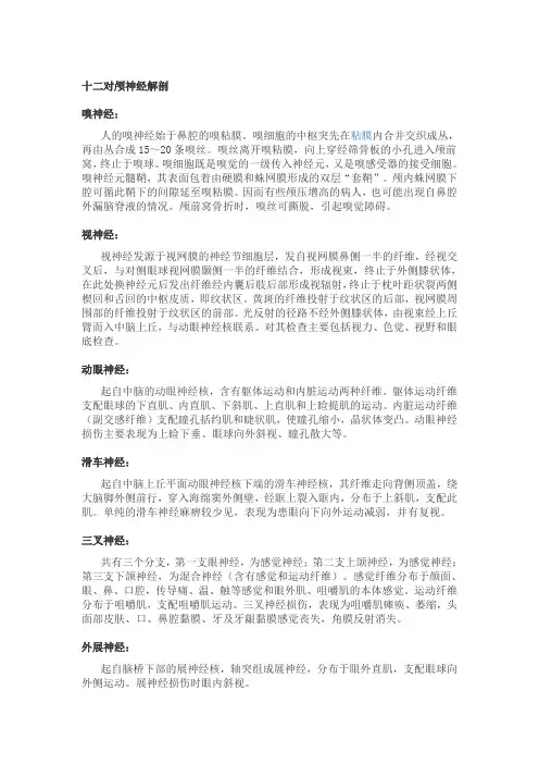 十二对颅神经解剖