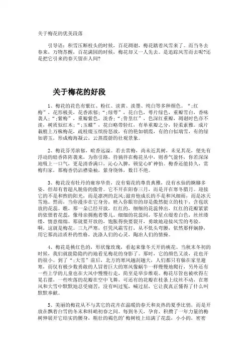 梅花的优美段落