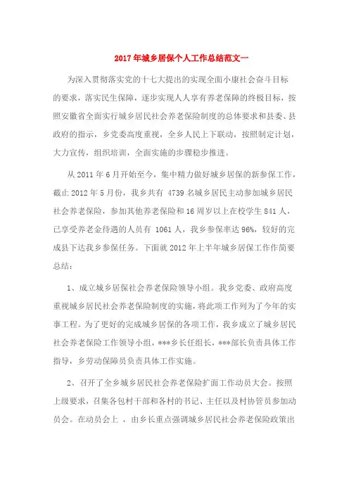2017年城乡居保个人工作总结范文一