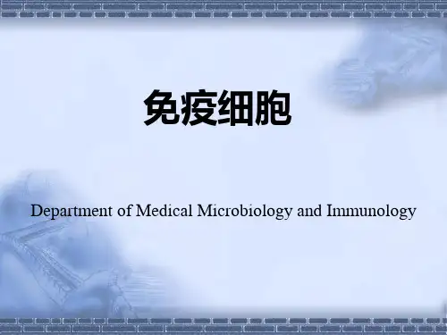 第七章-微生物学与免疫学免疫细胞