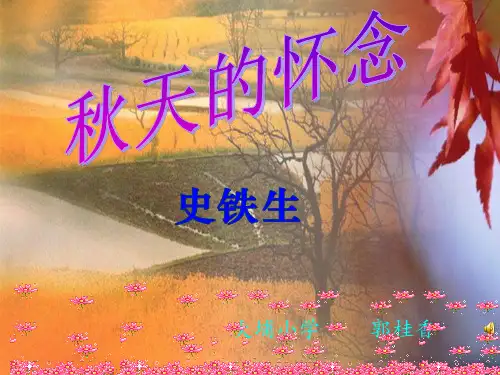 秋天的怀念2PPT课件