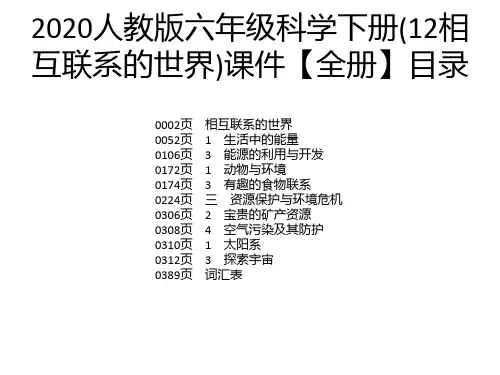 2020人教版六年级科学下册(12相互联系的世界)课件【全册】