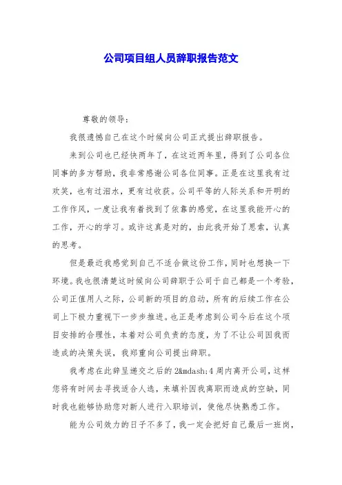 公司项目组人员辞职报告范文