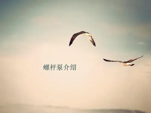 螺杆泵原理介绍