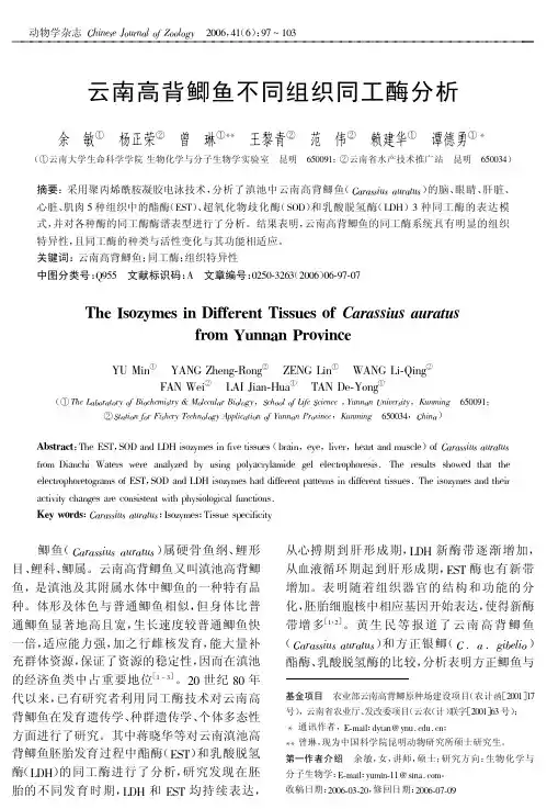 云南高背鲫鱼不同组织同工酶分析