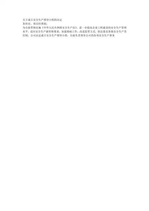 关于成立安全生产领导小组的决定