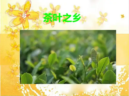 茶叶之乡