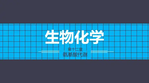 《生物化学》第十二章