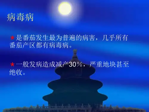 番茄病毒病