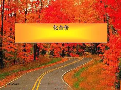九年级化学上册 4.4《化学式与化合价》化合价