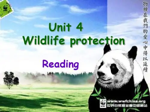 人教版高中英语 必修二 Unit4 《Wildlife  protection  ---Reading》 课件  (共32张PPT)