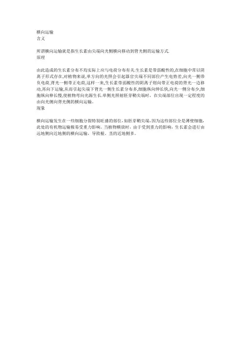 横向运输