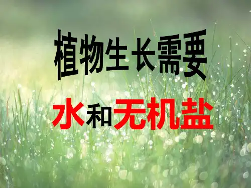 苏教版初中生物七年级上册 3.5.3 植物生长需要水和无机盐 课件(共17张PPT)