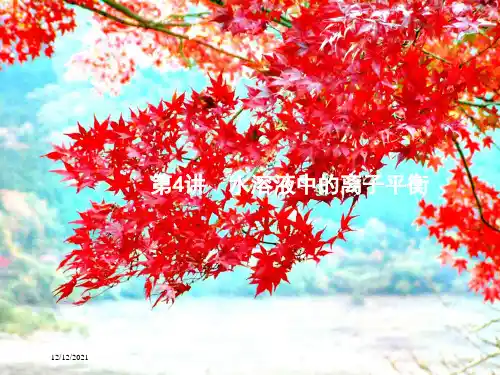 高考化学二轮复习4水溶液中的离子平衡课件
