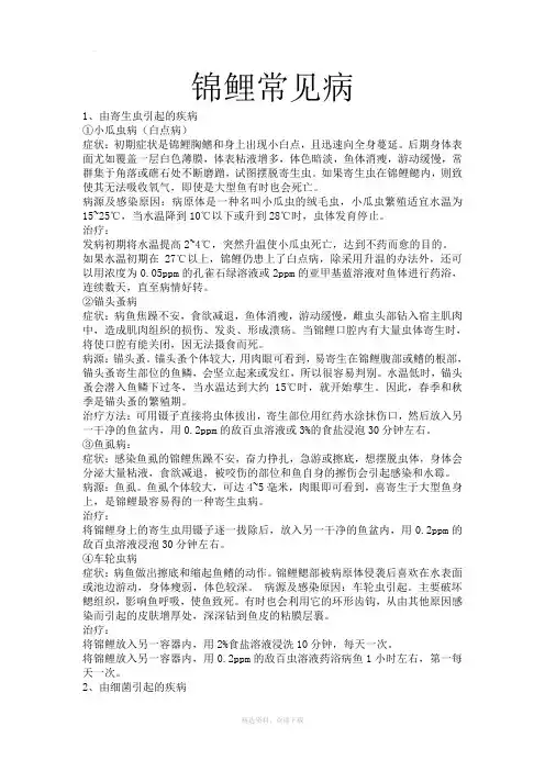 锦鲤常见病症状及治疗方法