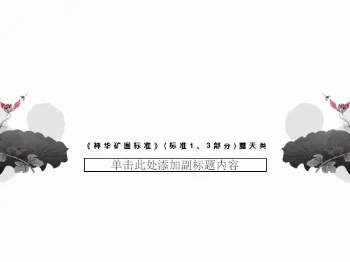 《神华矿图标准》(标准1、3部分)露天类