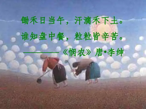 (新课标)高中生物 6.1杂交育种与诱变育种课件26