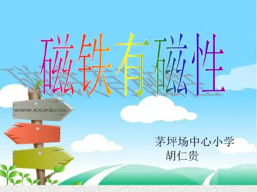 磁铁有磁性说课稿共27页文档