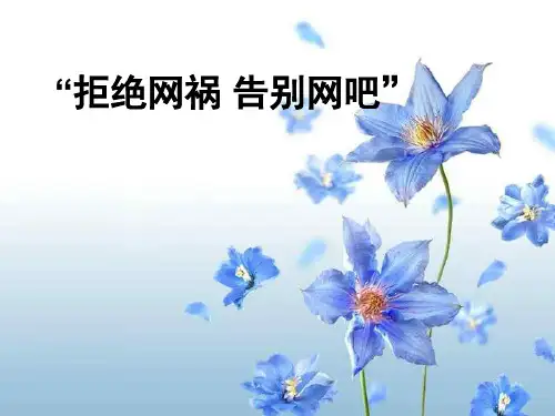网络危害主题班会(课堂PPT)