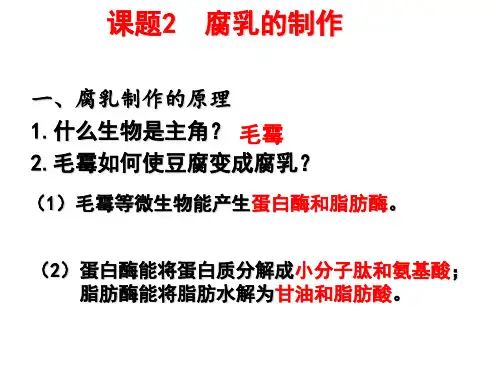 腐乳和泡菜的制作