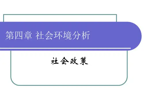 第四章 社会环境分析:社会政策