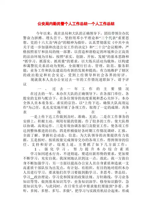公安局内勤民警个人工作总结—个人工作总结