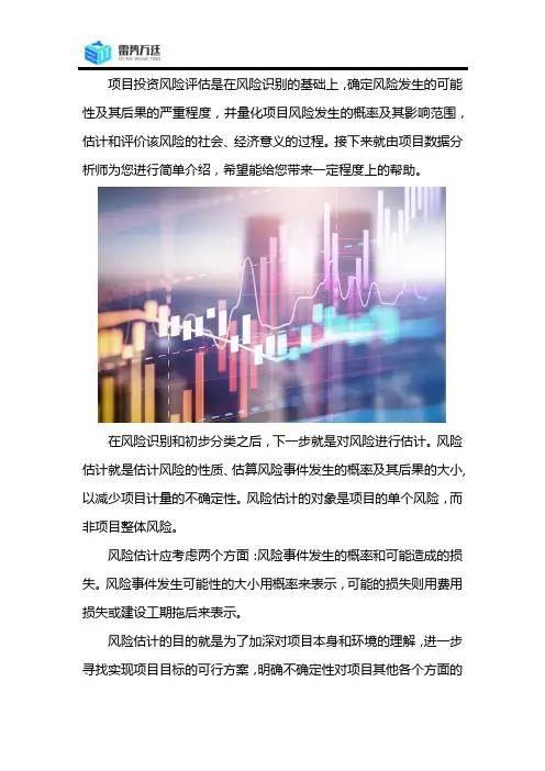 项目投资风险评估报告