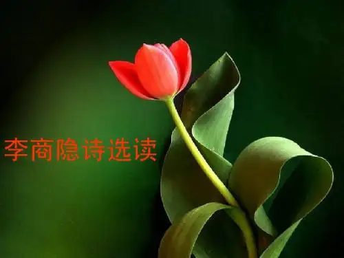 李商隐诗选读