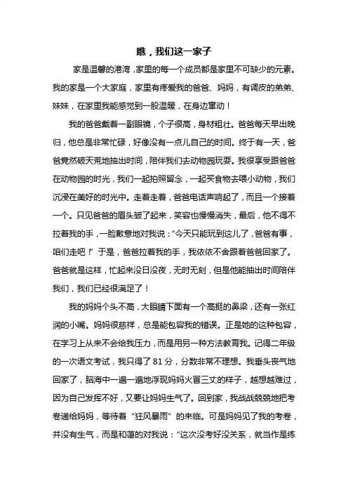五年级作文：瞧,我们这一家子作文800字