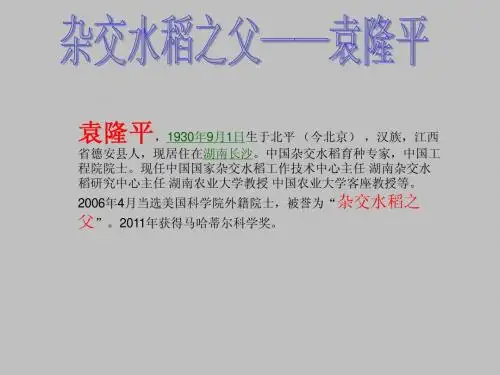 袁隆平