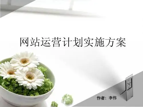网站运营计划实施方案