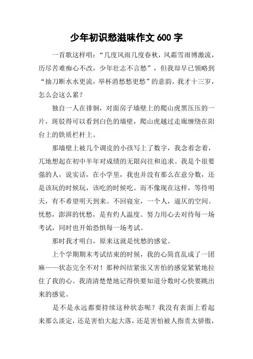 少年初识愁滋味作文600字