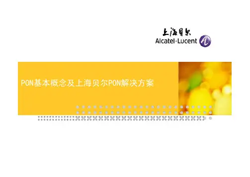 PON概念及贝尔产品方案