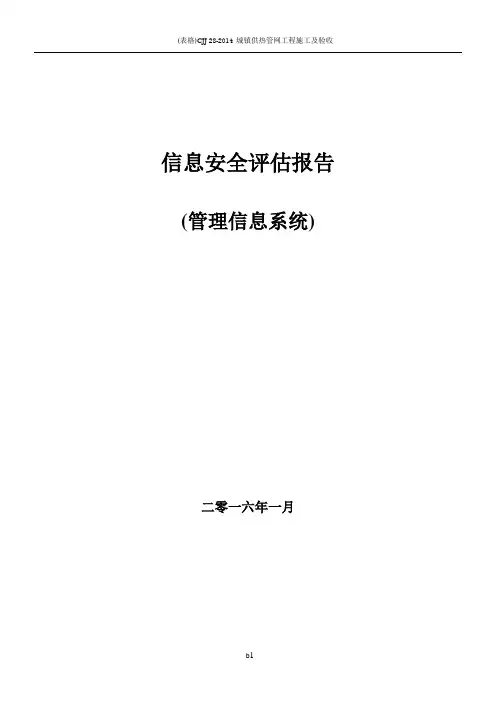 信息安全评估报告
