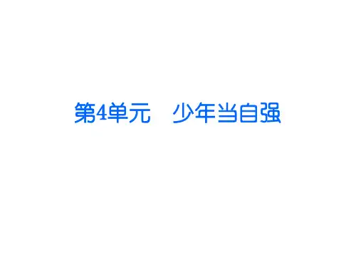 北师大版七年级上政治第四单元《少年当自强》复习课件分解