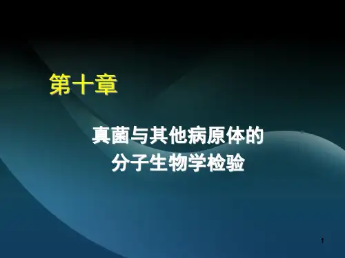10真菌与其他病原体的分子生物学检验