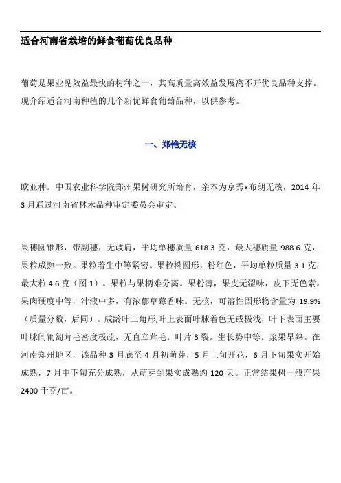 适合河南省栽培的鲜食葡萄优良品种