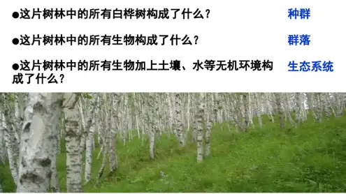 人教版高中生物必修生态系统的结构