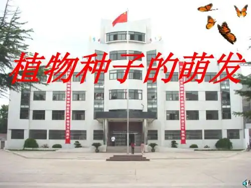 生物：5.1《植物种子的萌发》课件(苏教版七年级上)