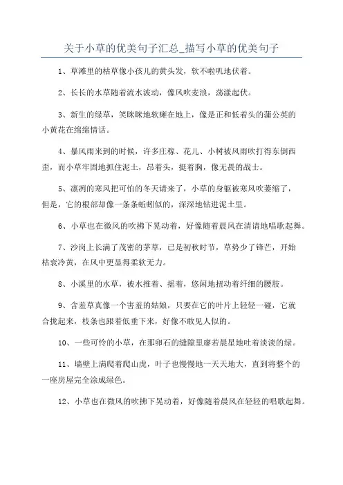 关于小草的优美句子汇总_描写小草的优美句子
