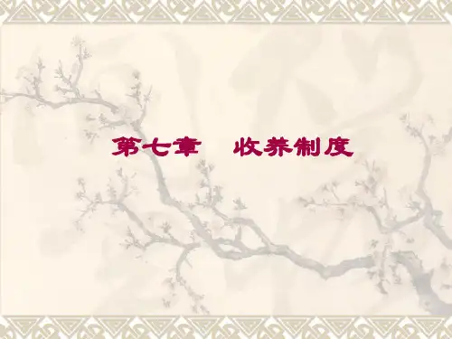 婚姻法PPT( 第七章)