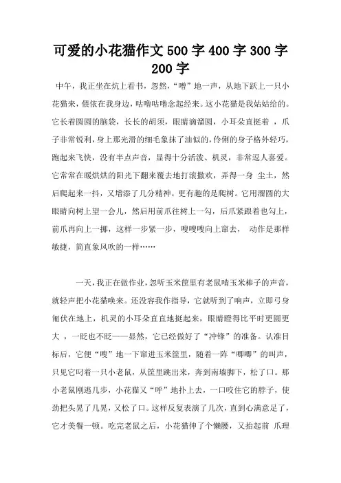 可爱的小花猫作文500字400字300字200字