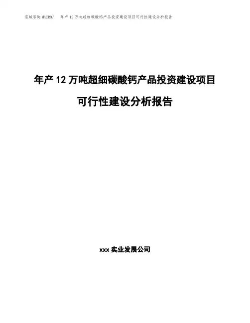 年产12万吨超细碳酸钙产品投资建设项目可行性建设分析报告(申报材料)
