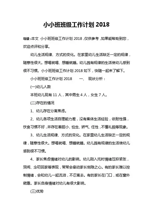 小小班班级工作计划2018