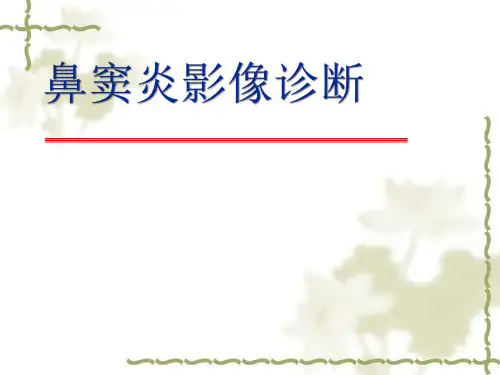鼻窦炎影像诊断