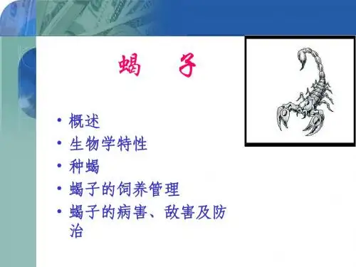 蝎 子