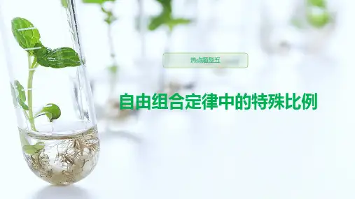 高中生物热点题型(自由组合定律中的特殊比例)